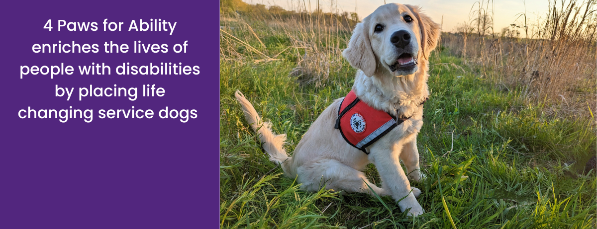 Puppy Enrichment Program - 4 Paws for Ability